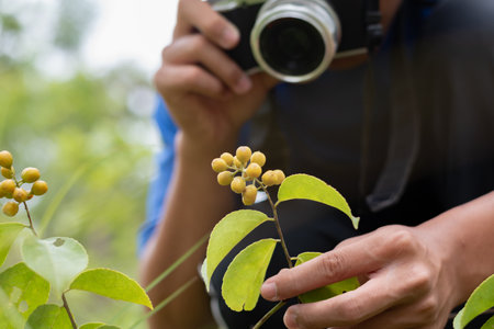 Photographer taking a photo of plants in the garden, Thailand.
