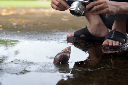 Photographer taking a photo of a snail shell in a puddle