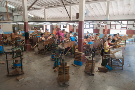 Many workers in one place make Cuban cigars on tobacco factory. CUBA TRINIDAD - 13 August 2015.のeditorial素材