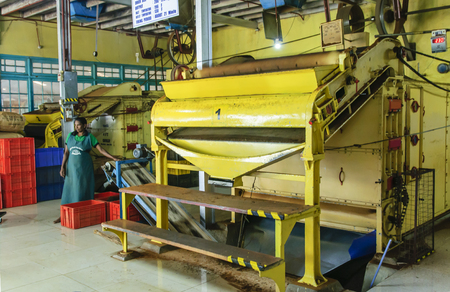 Nuwara Eliya, Sri lanka: February 6, 2016 . Inside The Tea Factory. Tea processing at the Factory.
