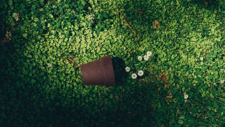 A flowerpot placed on a grassland.の写真素材