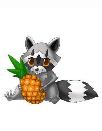 Little raccoon loves to eat pineappleの写真素材