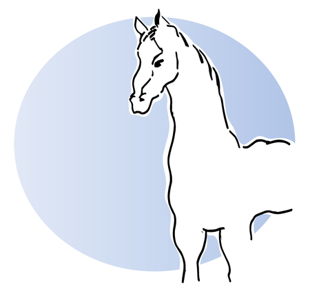 White horse. vector illustration of a white horse with blue background.のイラスト素材