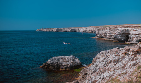 Summer view cliffed seacoast. The marine rocks landscape. Blue sea and sky, seagal flies, beautiful nature. Black Sea bay, Crimea.の写真素材