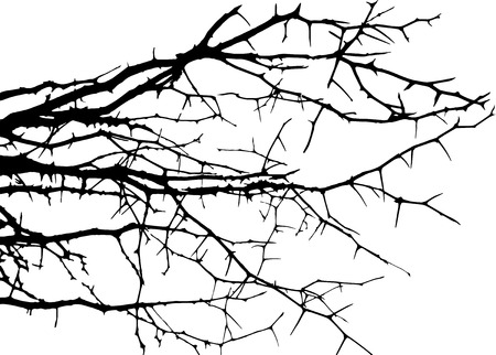 Dry tree, dead tree with beautiful branch silhouette, isolated on white background. Suitable as reference for art and design work. Close up details of twisted tree branches.のイラスト素材
