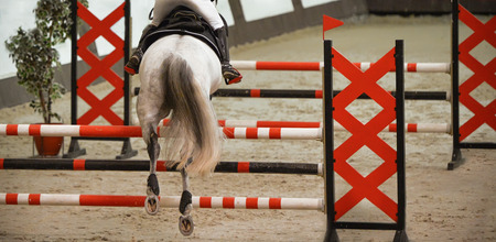 Horse horizontal banner for website header, poster, wallpaper. Rider in uniform perfoming jump at show jumping competition. Riding hall and hurdle as a background.の写真素材