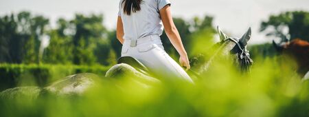 Horse and rider in uniform performing jump at show jumping competition. Horse horizontal banner for website header design. Equestrian sport background. Selective focus.の写真素材