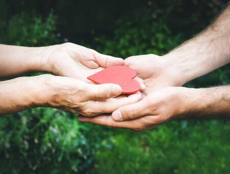 Hands with a red heart closeup.Young man gives a red heart to elderly woman. Human emotions, old people health. Love, compassion, mother and son. Valentin, mothers day. Green blurred background, sun rays.の写真素材