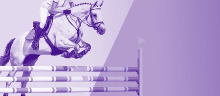 Horse and rider, black and white banner or header, billboard, duo tone. Beautiful white horse portrait during Equestrian sport show jumping competition, copy space for your text.の写真素材