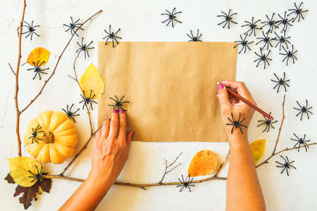 Halloween grunge white background, pumpkins, dry branches, orange leaves decoration. Autumn light set, party invitation, flat lay, woman hand with pencil, vintage paper, black spiders, copy space.の写真素材