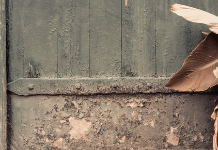 Old wood texture background with some rusty details. Vintage aged wooden surface. Natural rustic scratched shabby planks. Distressed grunge painted boards.の写真素材