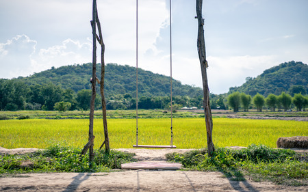 Swing in the paddy field, ideal for a relaxing break. Abundant natural resources in Thailand.の写真素材