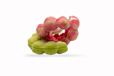 Manila tamarind fruit isolated on white backgroundの写真素材