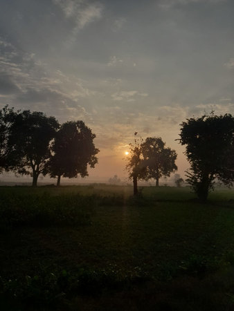 Morning in the field with fog and sunbeams,Thailandの写真素材