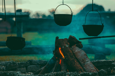 Cooking food in a cauldron on a campfire in the village