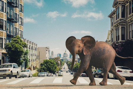 An elephant on a city street.の写真素材