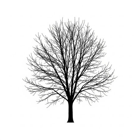 Tree silhouette isolated on white background. Vector illustration for your design.の写真素材