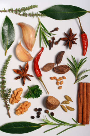 Display of different dry and fresh aromatic herbs and spices.の写真素材