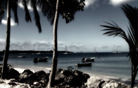 boats                               の写真素材