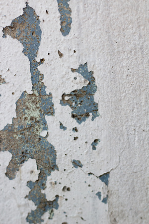 Grunge concrete cement wallの写真素材