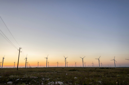 electric power wind generators at sunset