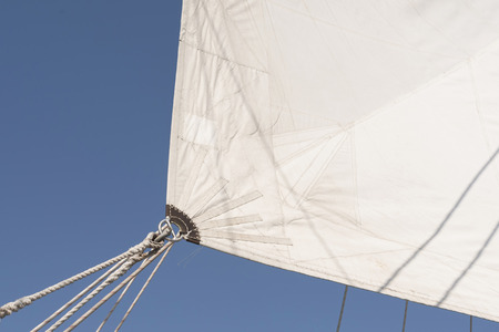 sailing vessel white sailの写真素材