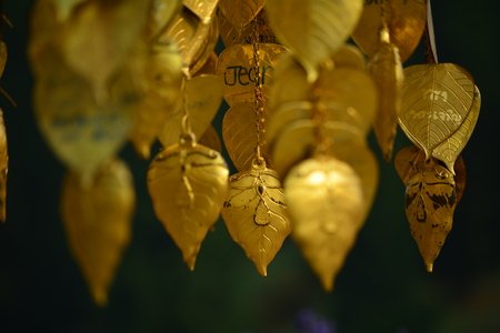 metal leafsのeditorial素材