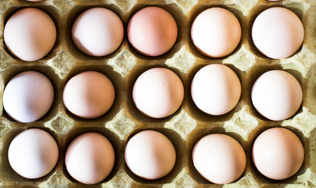 Top view of chicken eggs