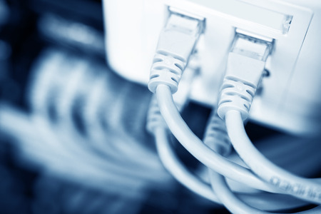 network cables connected in network switches