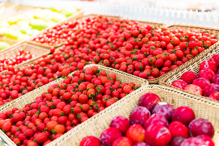 Group of fresh tomatoesの写真素材