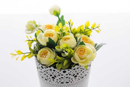 Flowers in pots on white backgroundの写真素材