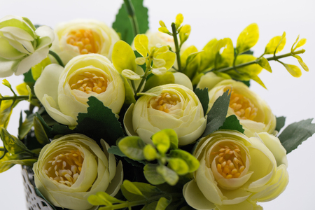 Flowers in pots on white backgroundの写真素材