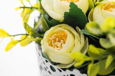 Flowers in pots on white backgroundの写真素材