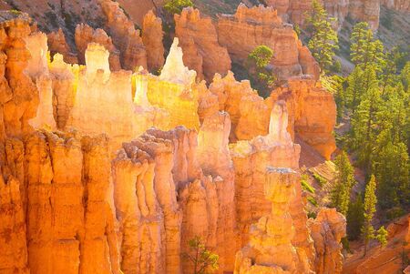 Colorful Bryce Canyon National Park at dawnの写真素材