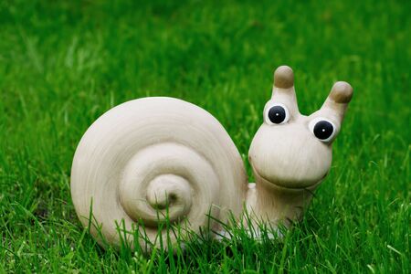 Snail on grass, outdoor,の写真素材