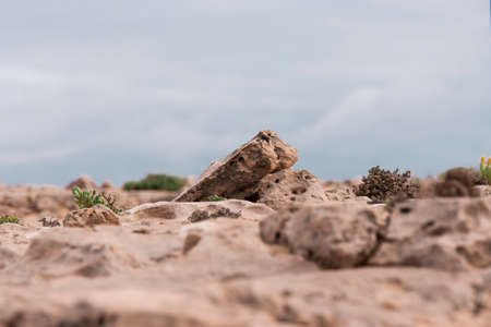 Stones on the beachの写真素材
