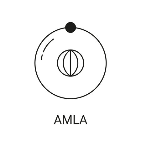 Amla Exotic Fruit Icon Element for Webのイラスト素材