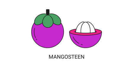 Mangosteen Exotic Fruit Icon Element for Webのイラスト素材
