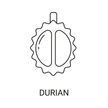 Durian Exotic Fruit Icon Element for Webのイラスト素材