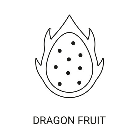 Dragon Fruit Exotic Fruit Icon Element for Webのイラスト素材