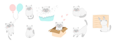 Set of cute kittens favorite petsのイラスト素材