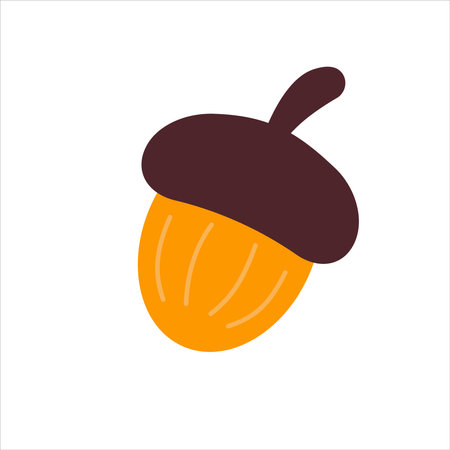 Acorn element for autumn design isolated on whiteのイラスト素材