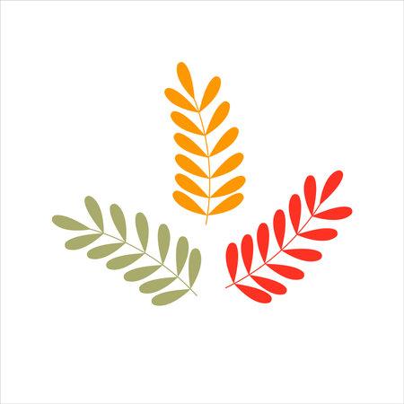 Leaves element for autumn design isolated on whiteのイラスト素材