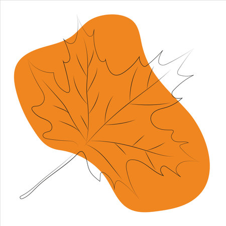 It is a decorative element to decorate autumn designs of maple leaf in linear style and orange spotのイラスト素材