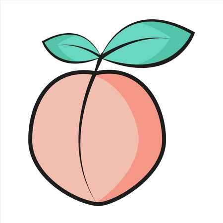Fresh juicy apricot sweet fruitのイラスト素材
