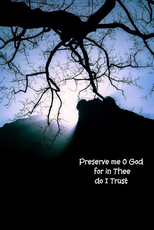 Trust