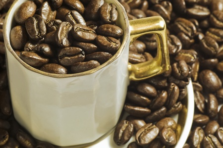 Coffee beans in cupの写真素材
