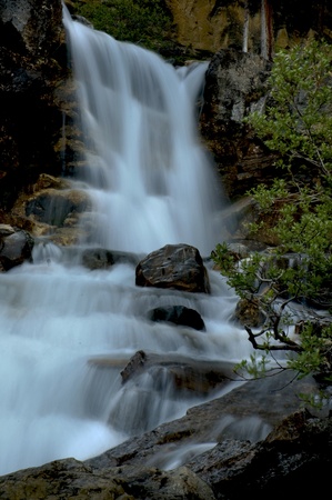 Tangle Falls in Canadian Rockiesの写真素材
