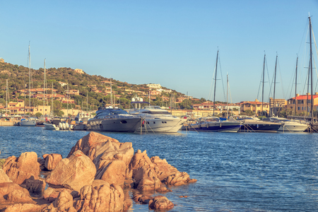 White yachts in the port.の写真素材