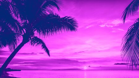 Sunset and palms - nature background.の写真素材